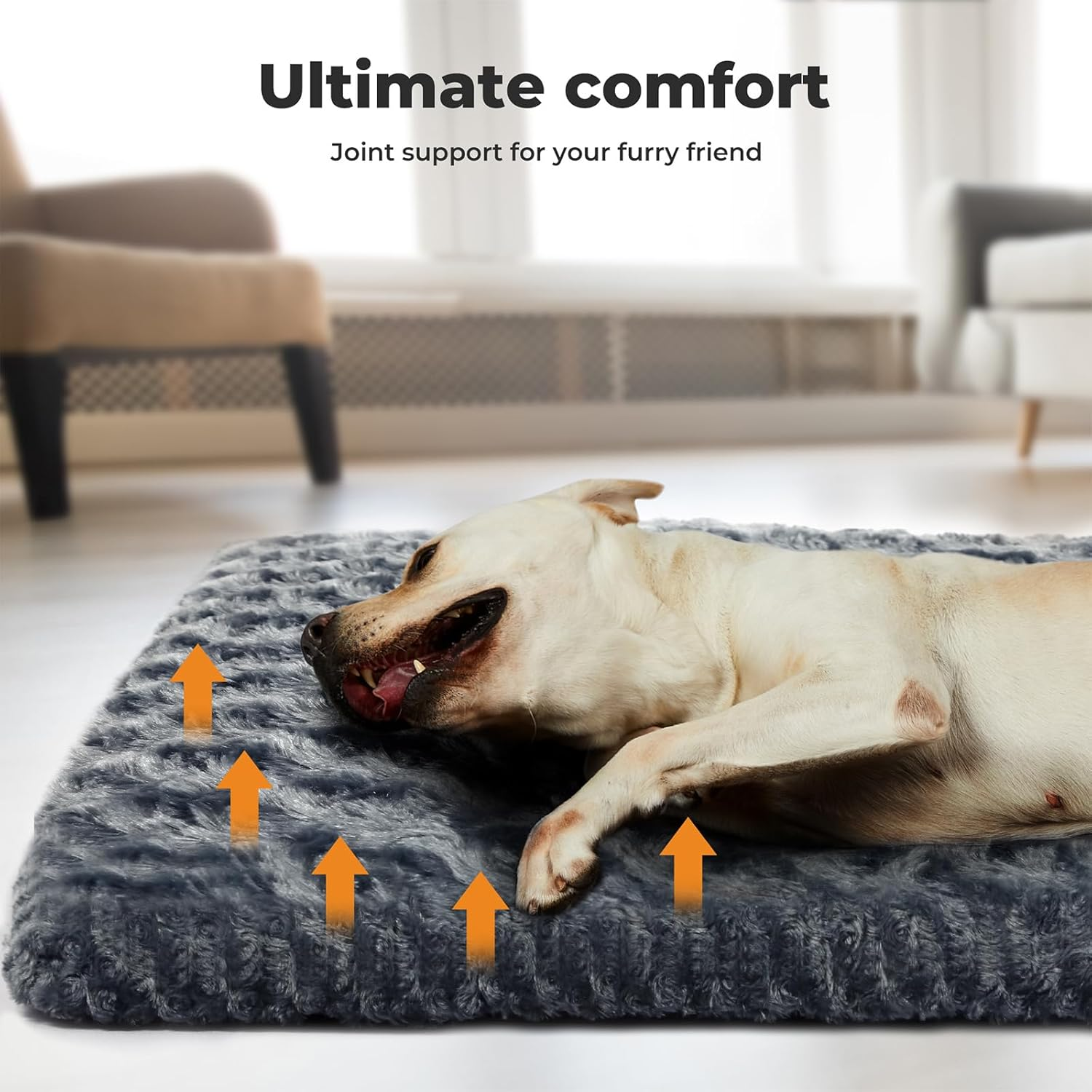 Pawz Pet Bed Dog Beds,8Cm Soft Pet Bed Mat with Plush Velvet,Dog Crate Bed for Medium Large Dog,Machine Washable Dog Bed Pad, Swirl Pattern Dog Mattress Mat,Warm Mattress Cushion,Grey image number 5