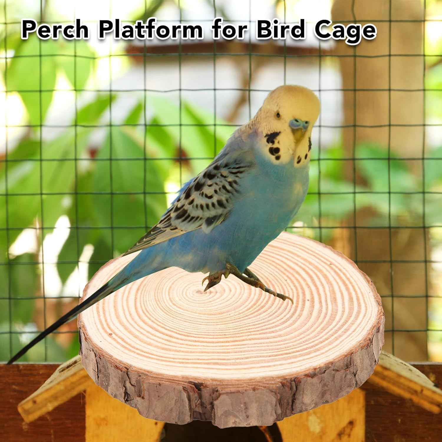 Parrot Log Pier Bird Cage Stand and Hamster Platform, 4Pcs Natural round Wooden Bird Cage Stand Platform,Round Natural Wood Stand Cage Parrot Platform image number 1