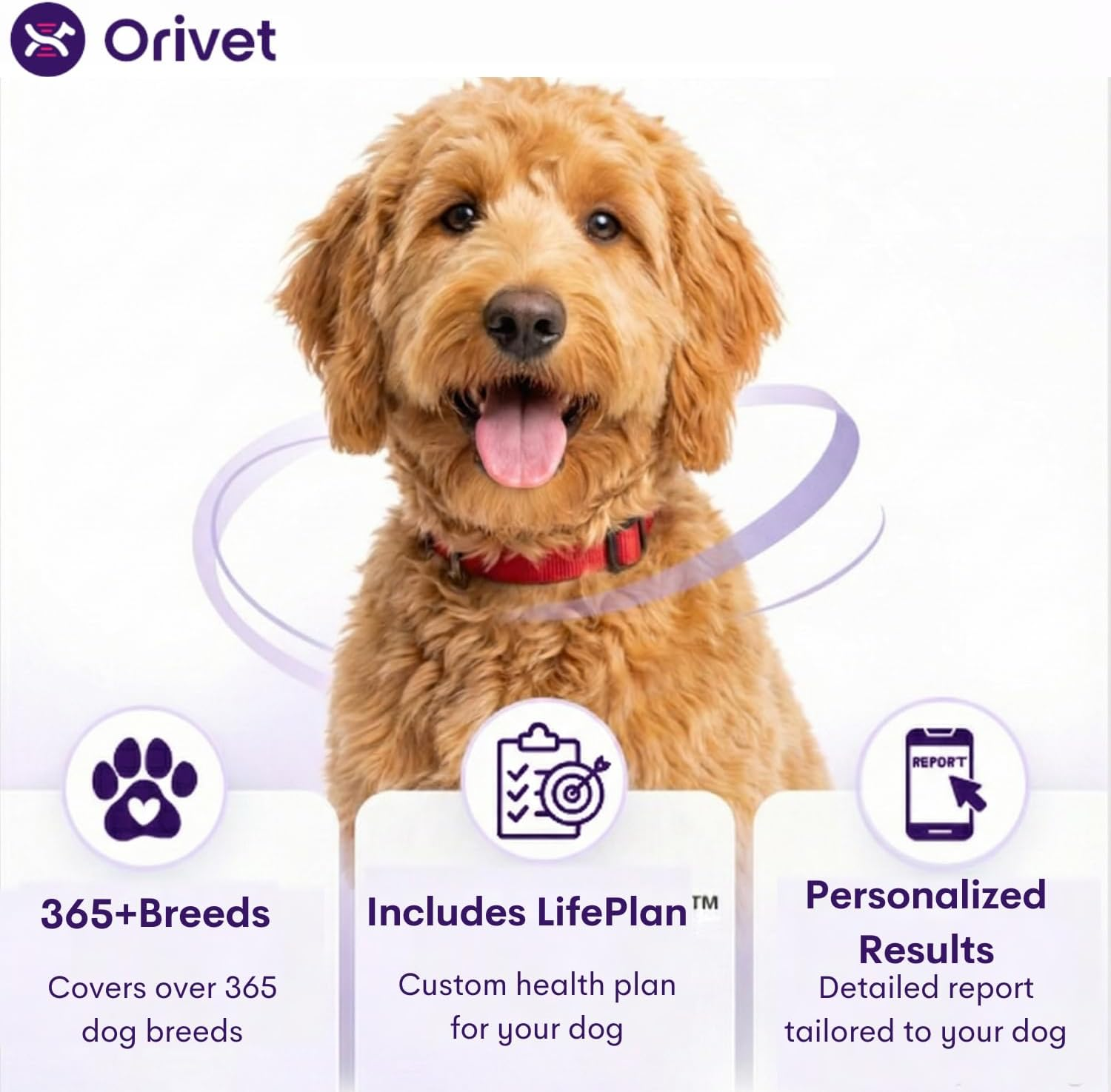 ORIVET Dog DNA Test Kit for Breed Identification & Genetic Health &ndash; 365+ Breeds, Puppy DNA Test, Mixed Breed Testing, Trait & Ancestry Report, at Home Cheek Swab, Vet Approved (ORIVET Genopet Plus) image number 5