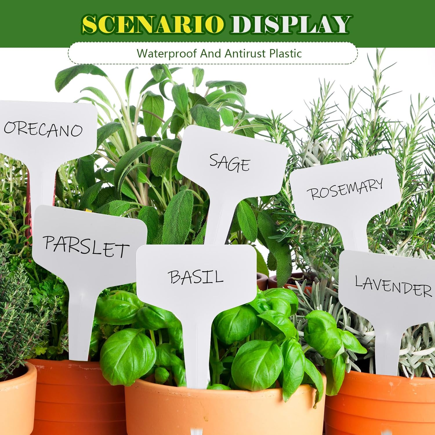 Flutesan 300 Pcs 10 X 6 Cm Plastic Plant T-Type Tags with 3 Pens Nursery Garden Labels PVC Plant Name Tags Waterproof Markers for Outdoor, White image number 3