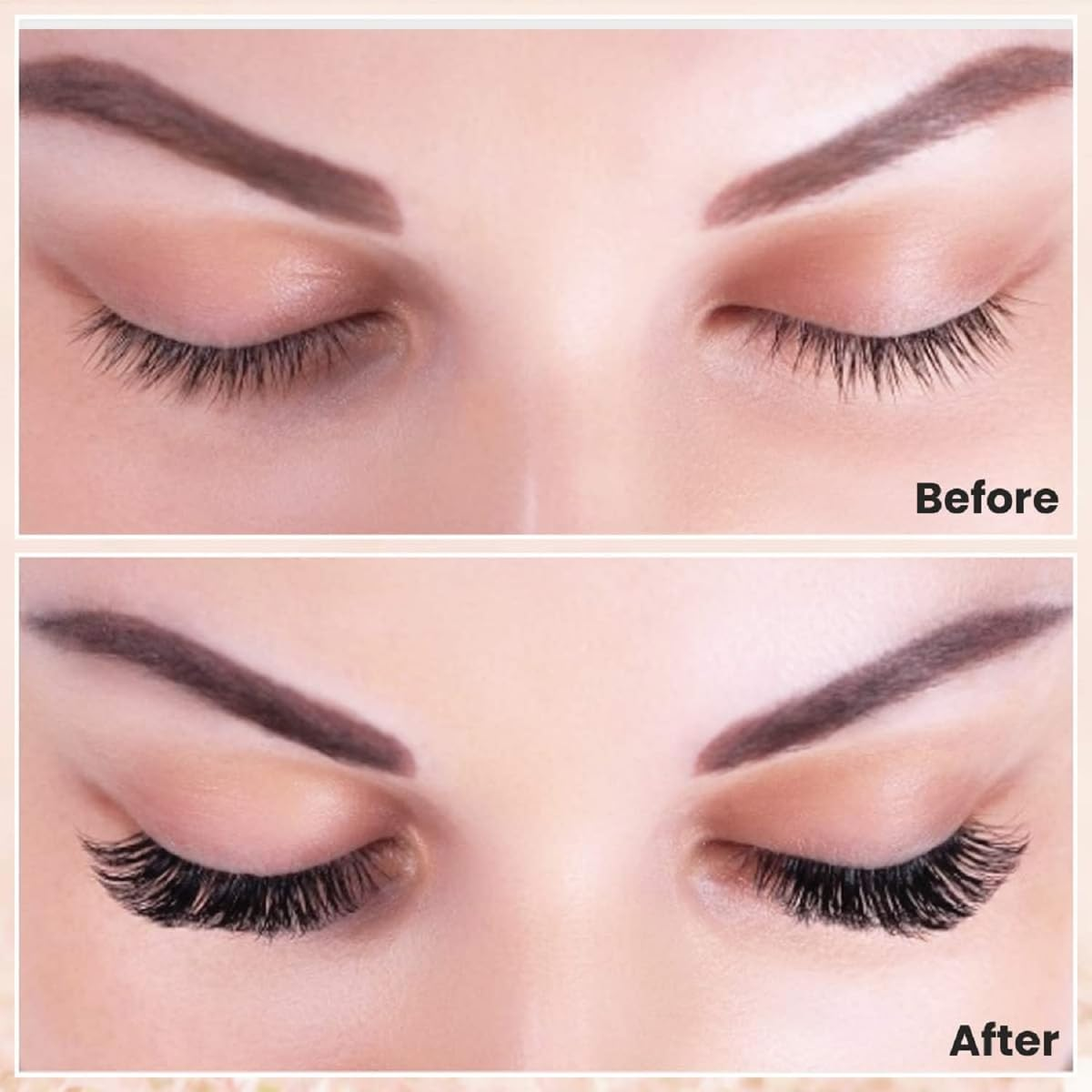 Hoite Eyelash Curler, Eyebrow Brush Set for Women, Eyelash Curler Set with 8 Extra Replacement Refill Pads, Eyelash Applicator, Makeup Tool (Purple Black) image number 3