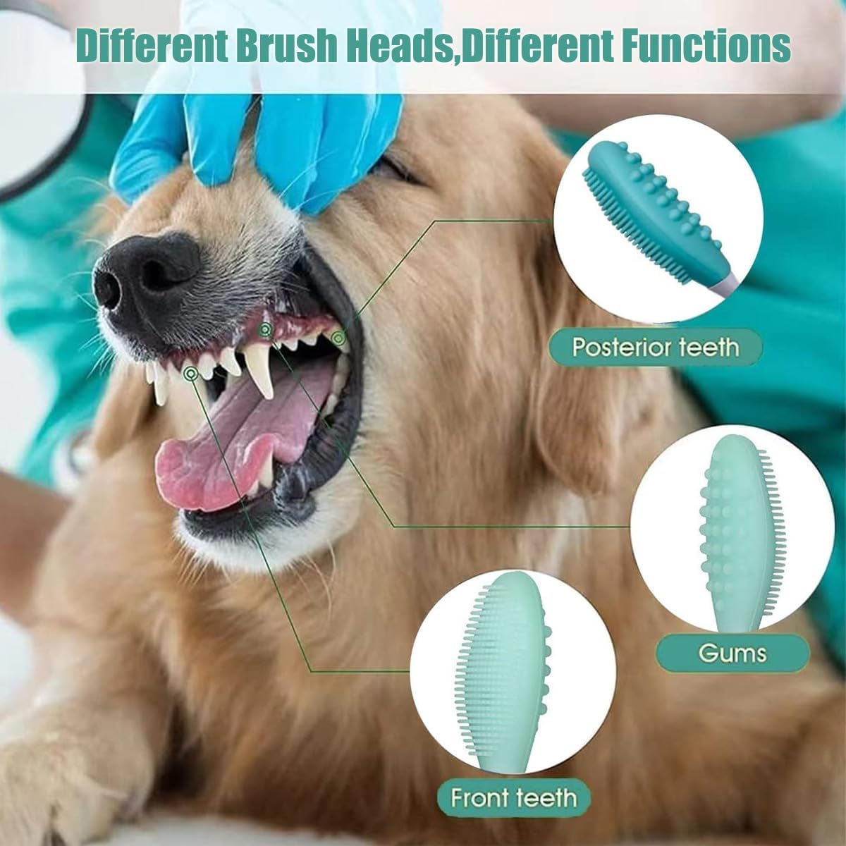 Gingeruper Dog Toothbrush, Silicone Double-Sided Soft Comfort Gentle Toothbrush Set with 5.7 Inch Curved Long Handle for Small Puppies Dogs Cats image number 2