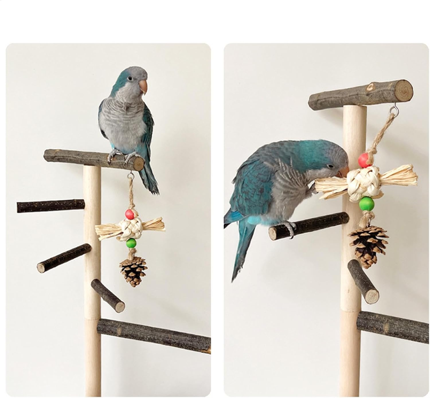 Parrot Stand Playground - Parrot Playstand Play Gym | Large Perch Stand for Parakeet and Birds, Parakeet Cage Accessories with Feeding Cups, Natural Parrot Playstand Play Gym for Budgies Cockatiel image number 5