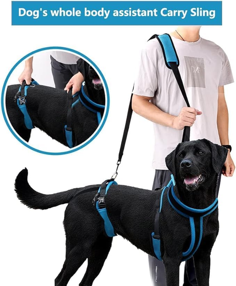 Pet Dog Carry Sling Pet Legs Support Rehabilitation Lift Harness for Disabled Injured Elderly Dog Joint Injuries Arthritis Blue (S) image number 4