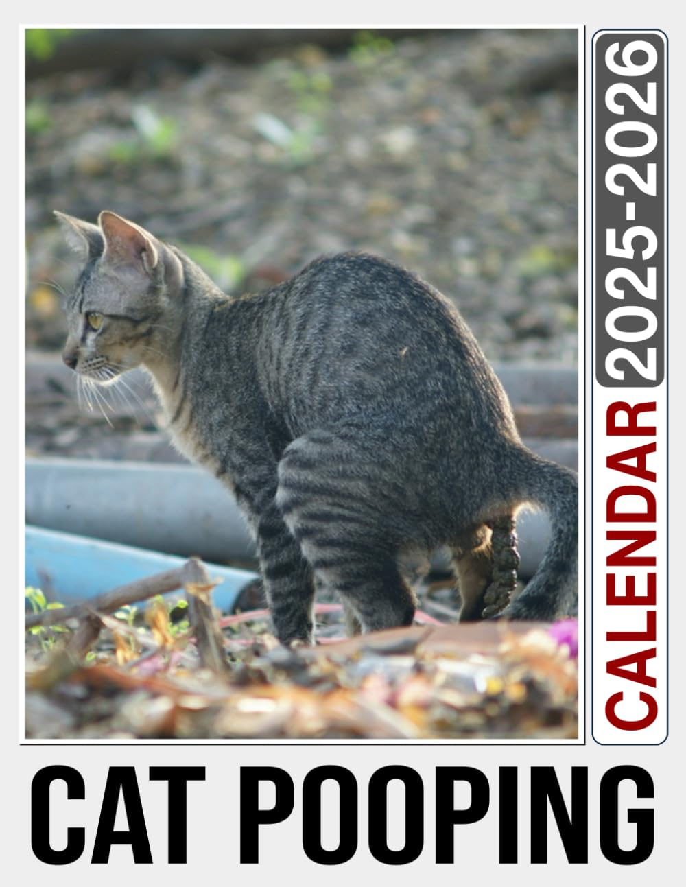 Cat Pooping Calendar 2025 - 2026: 24-Month Monthly Gift Idea for All Fans Women, Men & Kids | Classroom, Home, Office Planner Jan 2025 to December 2026