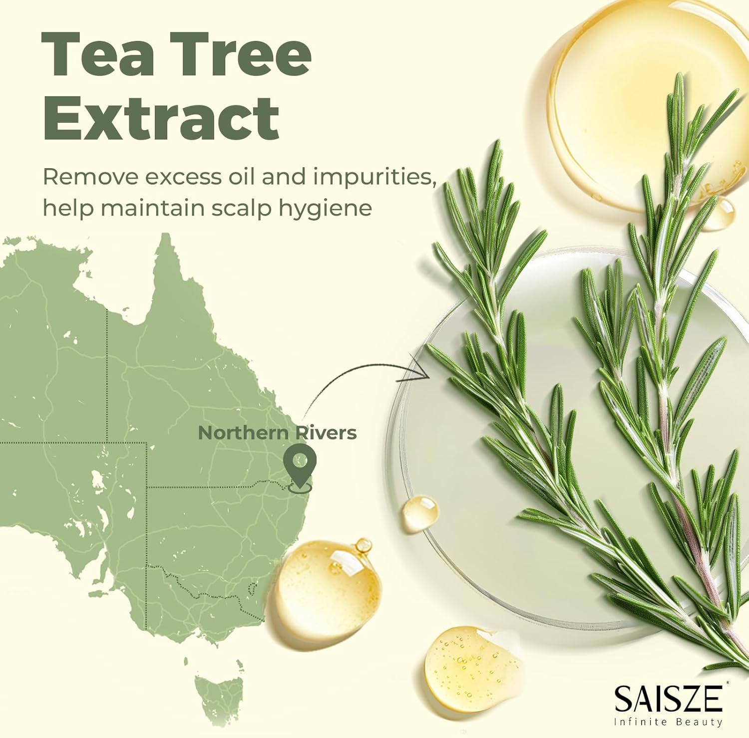 SAISZE Tea Tree and Mint Shampoo and Conditioner Bar Set, anti Dandruff Shampoo Bar for Itchy and Dry Scalp, Infused with Biotin image number 4