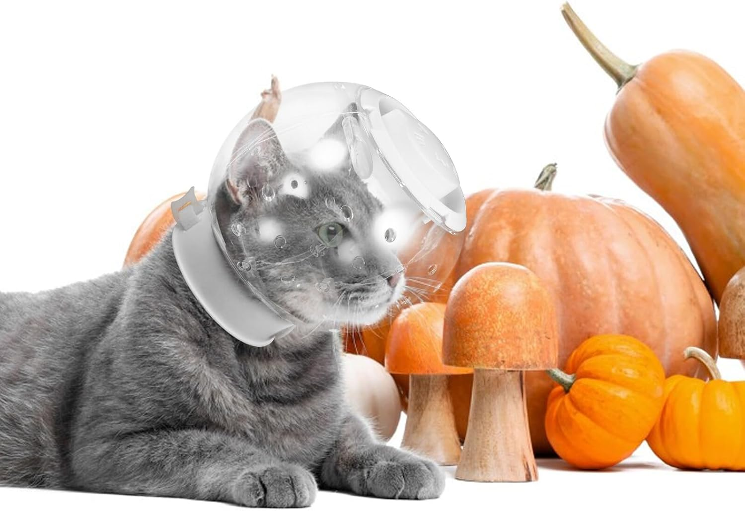 DIKACA Transparent Pet Helmet for Cats and Dogs Anti-Biting Breathable Space Helmet for Surgery Grooming and Bathing Protection Clear Hood Preventing Self-Injury image number 1