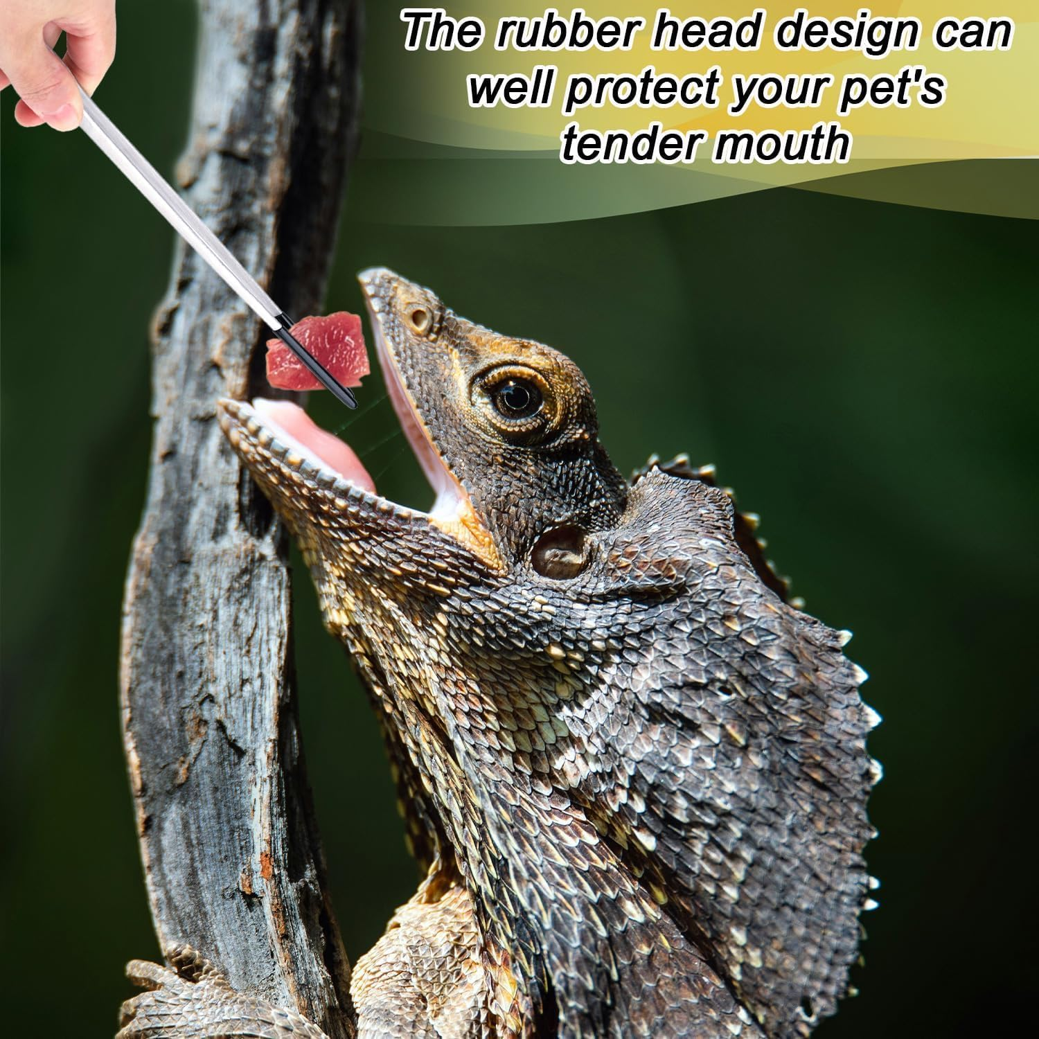 Stainless Steel Reptile Feeding Long Tongs Tweezers with Rubber Tip,3Pcs Stainless Steel Straight and Curved Tweezer Aquarium Tweezers with Rubber Tip,Reptile Feeding Tongs Straight and Curved Tweezer image number 1