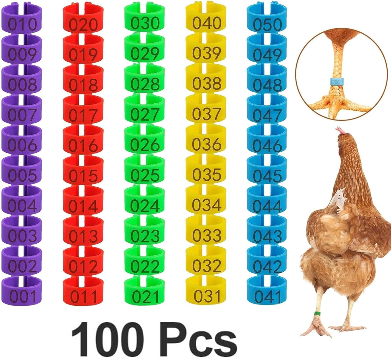 5Colors Chicken Leg Rings 100 PCS Chicken Identification Band 16Mm Colorful Numbered Chicken Tags for Legs, Poultry Leg Bands Clip-On Rings Poultry Identification for Ducks, Chicks, Gamefowl, Turkey image number 2