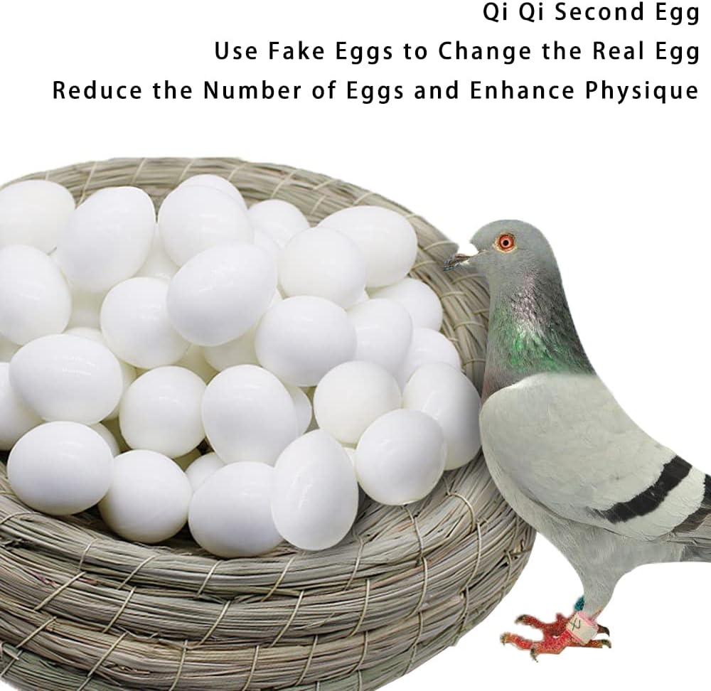 JVHLOV 20X Solid Plastic Dummy Fake Eggs, Dummy Eggs Dove, Simulation Bird Egg Bird Breeding Tool image number 2