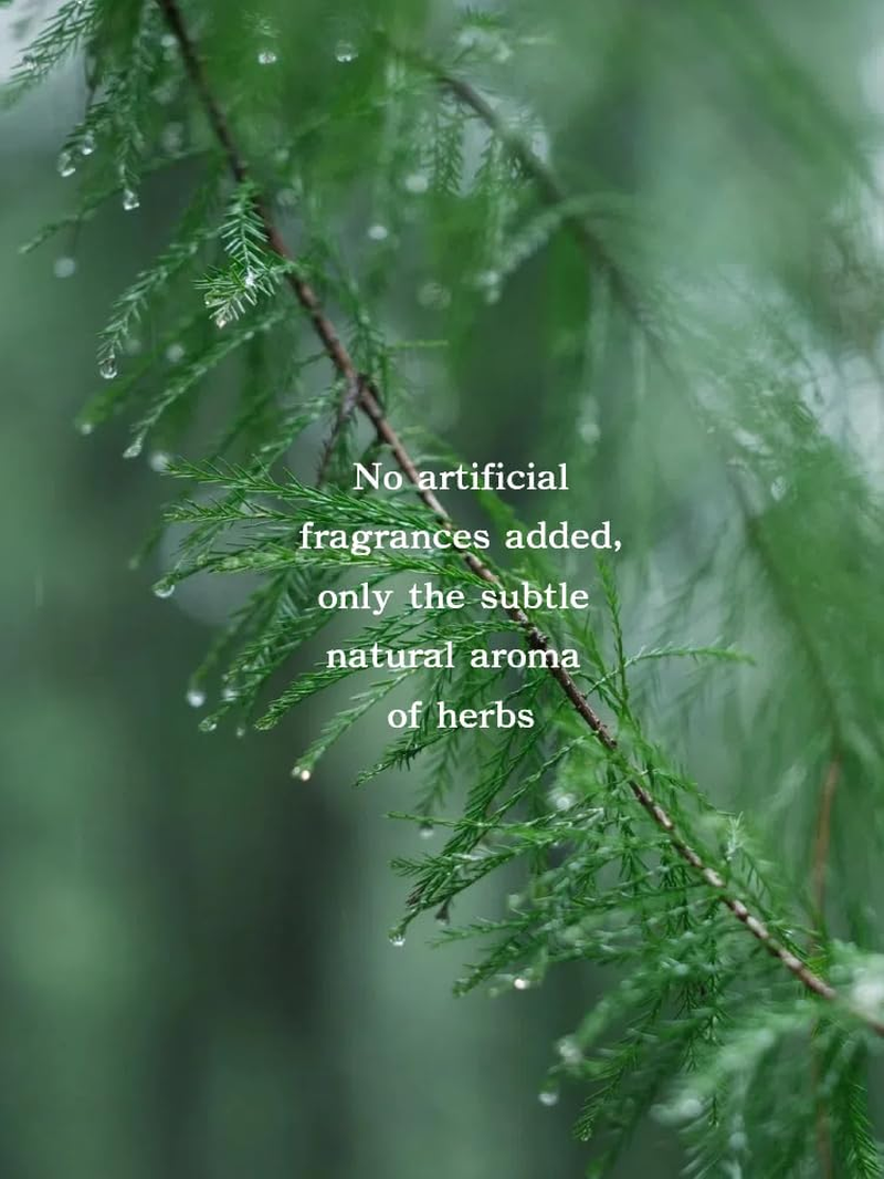 Joy Garden Multi-Purpose Aloe, Honeysuckle&Soapberry Zao Jao Liquid, Shampoo, Body Wash & Travel Essentials Two-In-One,Shampoo and Body Wash,Natural Ingredients Gentle Herbal TCM Ingredients 400Ml image number 5