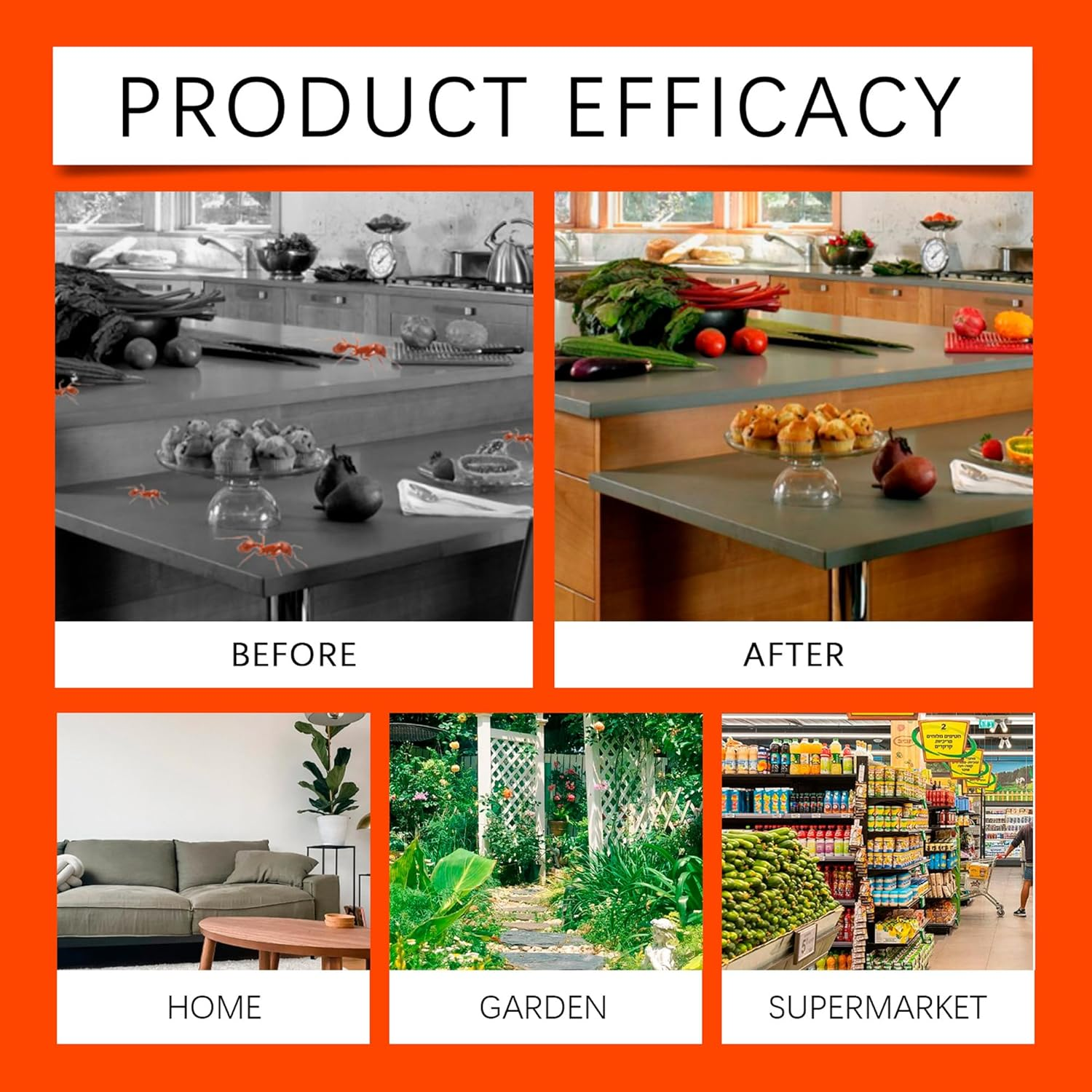 Ant Killer Bait Stations Lawn Plant Care, Liquid Bait to Eliminate Ants - Bait System, Effective Indoor Ant Control (4 Tablets)