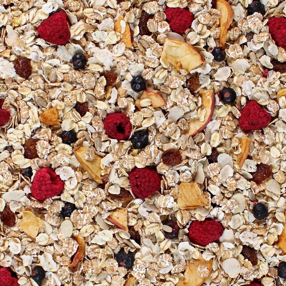 Seitenbacher Muesli #2 Berries Temptation, 16 Ounce (Pack of 6) image number 3