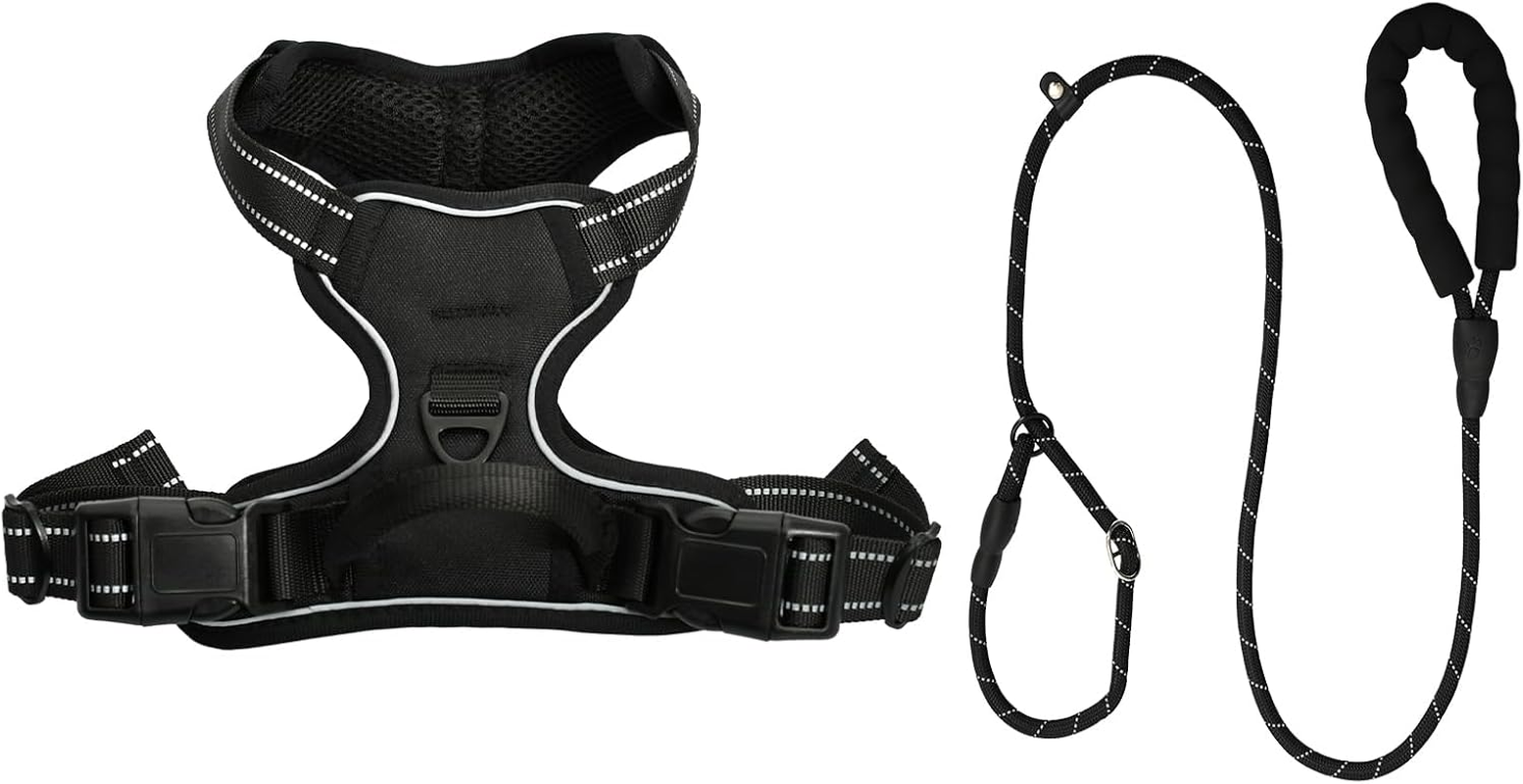 Safe Dog Harness and Cat Harness with Lead, Adjustable Harness for Small, Medium and Large Dogs, Escape Proof Cat Harness with Cat Lead (S)