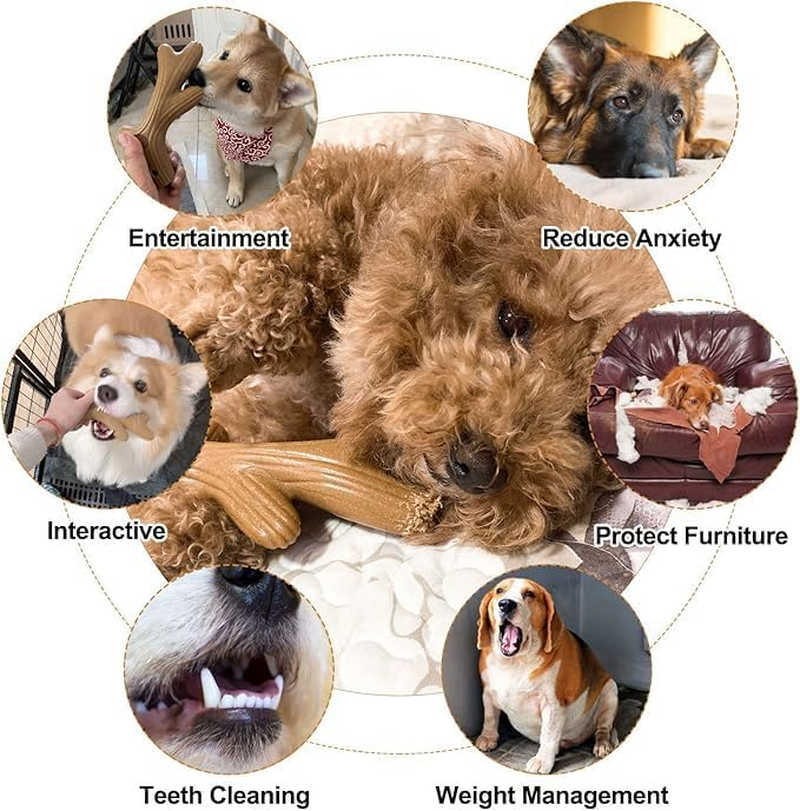 Beiqilian Antler Dog Chew Toy, Indestructible Toughg Dog Chew Toys, Teeth Grinding Bite Resistant Boredom Relief Antler Pet Teething Stick for Small Medium Large Dogs image number 5