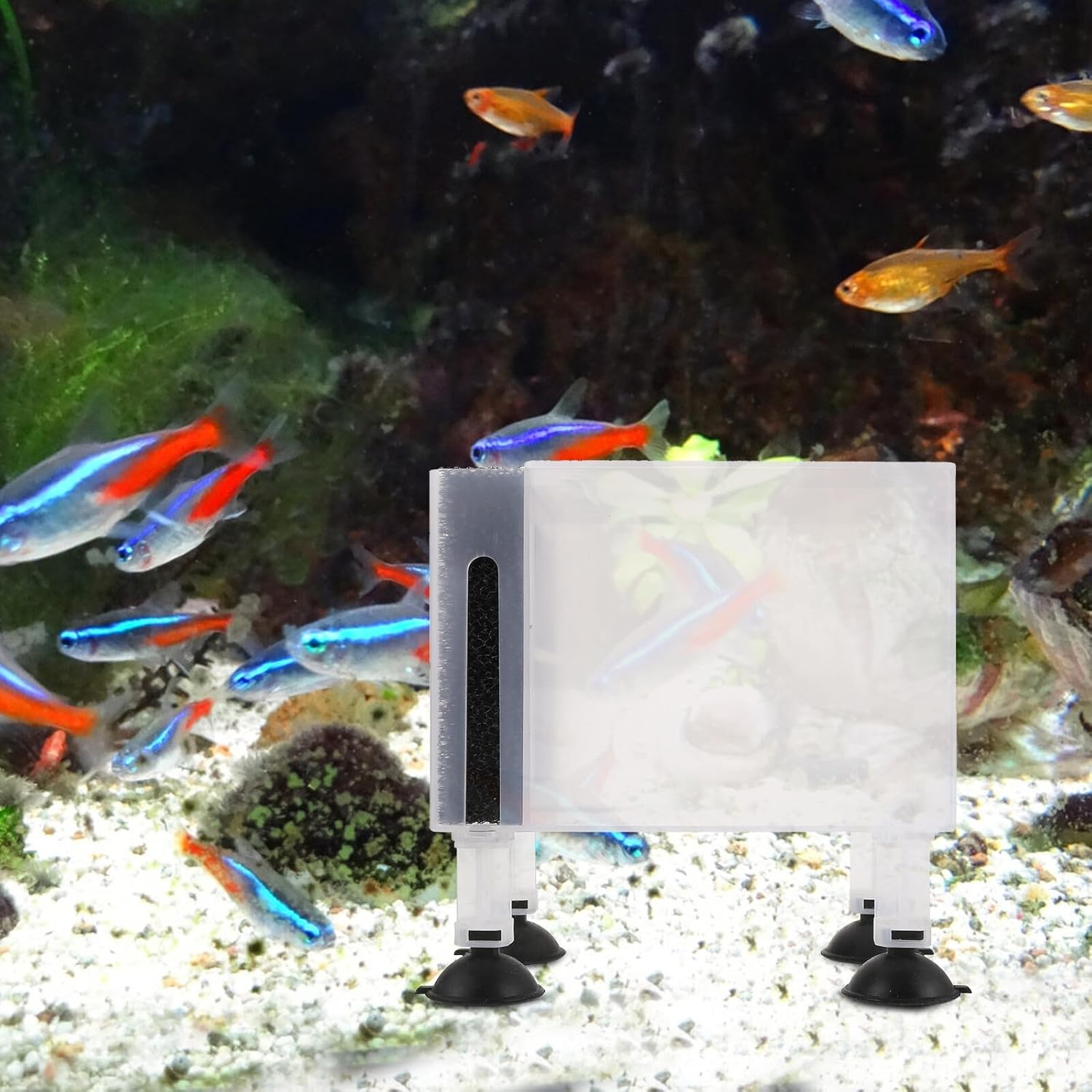 NUOBESTY Wear-Resistant Protective Pump Box with Filter Cotton Transparent Large Aquarium Accessory for Outdoor Submersible Water Pumps Easy Assembly and Detachment