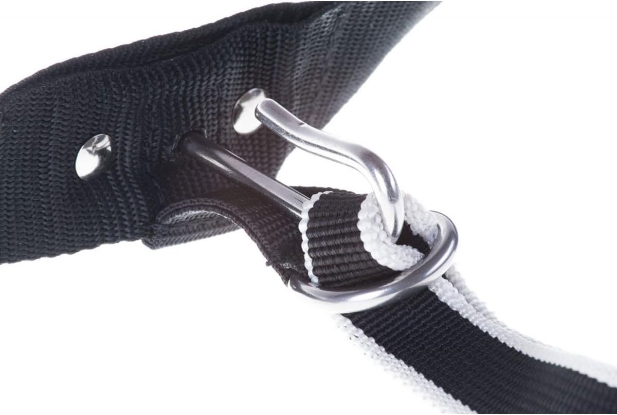 DOG Copenhagen Non-Stop Trekking Belt for Hiking/Canicross 1 Unit, Purple image number 1