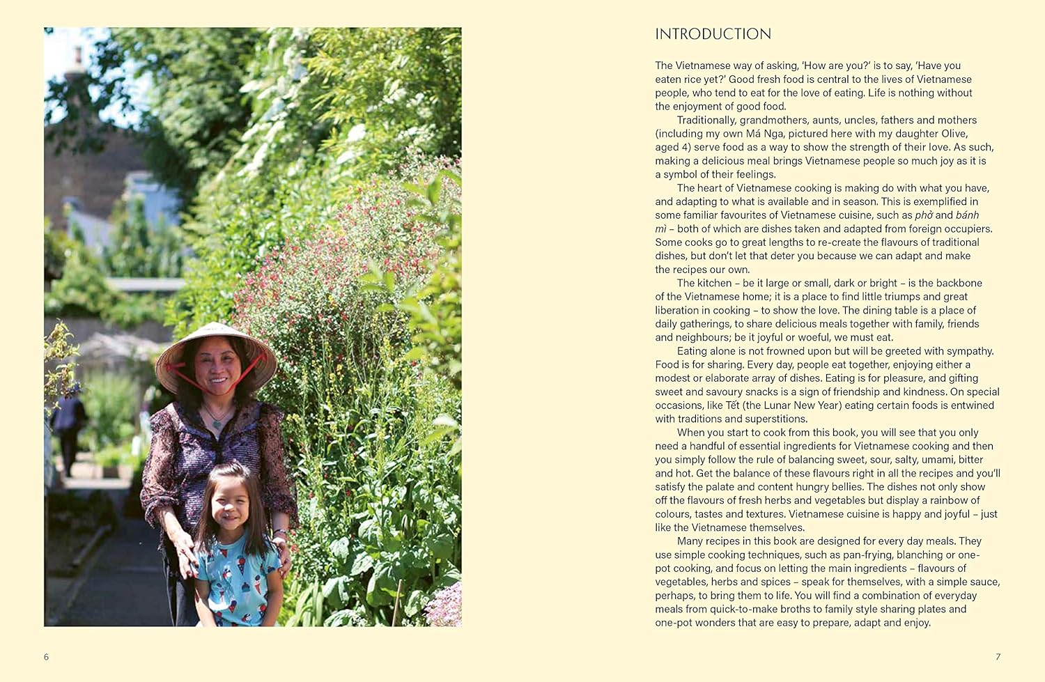 Vietnamese: Simple Vietnamese Food to Cook at Home image number 5