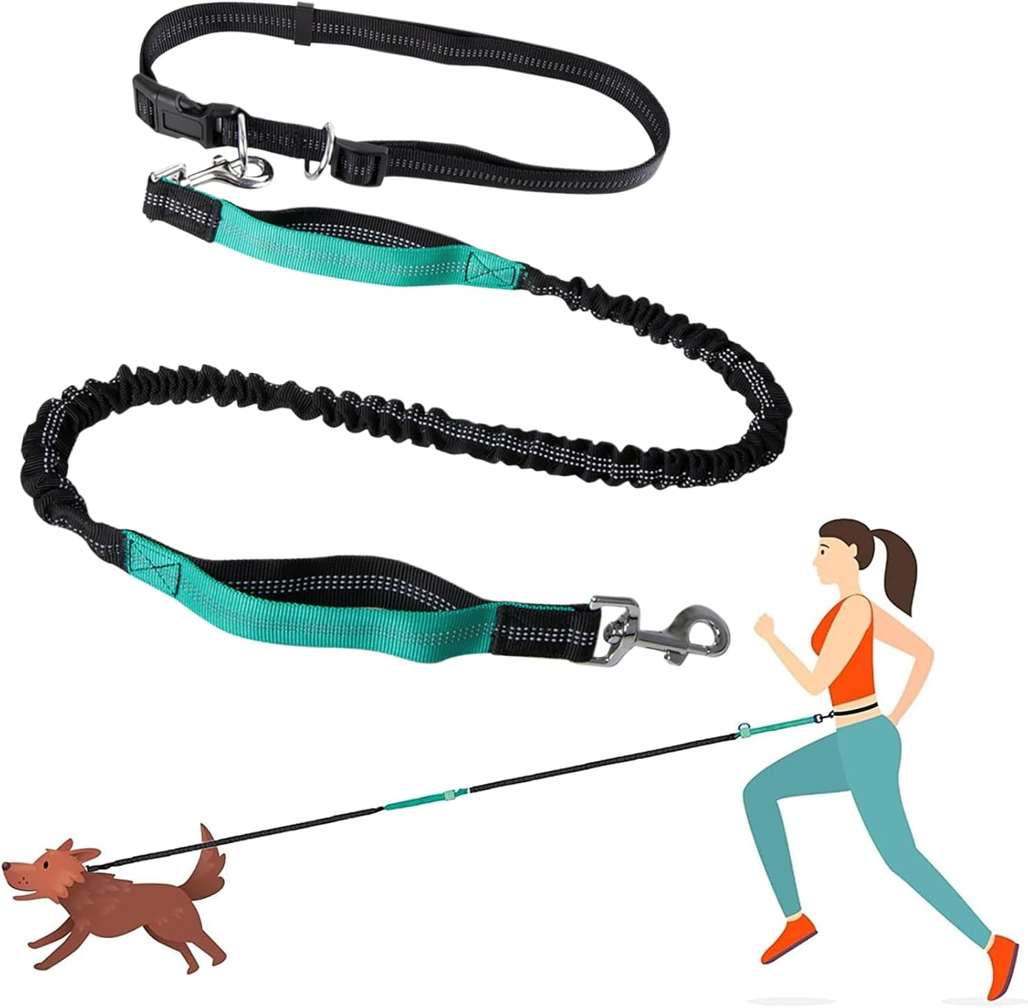Hands Free Dog Lead for Dog Walking Running Jogging, Retractable, Dual Handle, Shock Absorber, Soft Foam Padding, Adjustable Wasit Leash image number 5