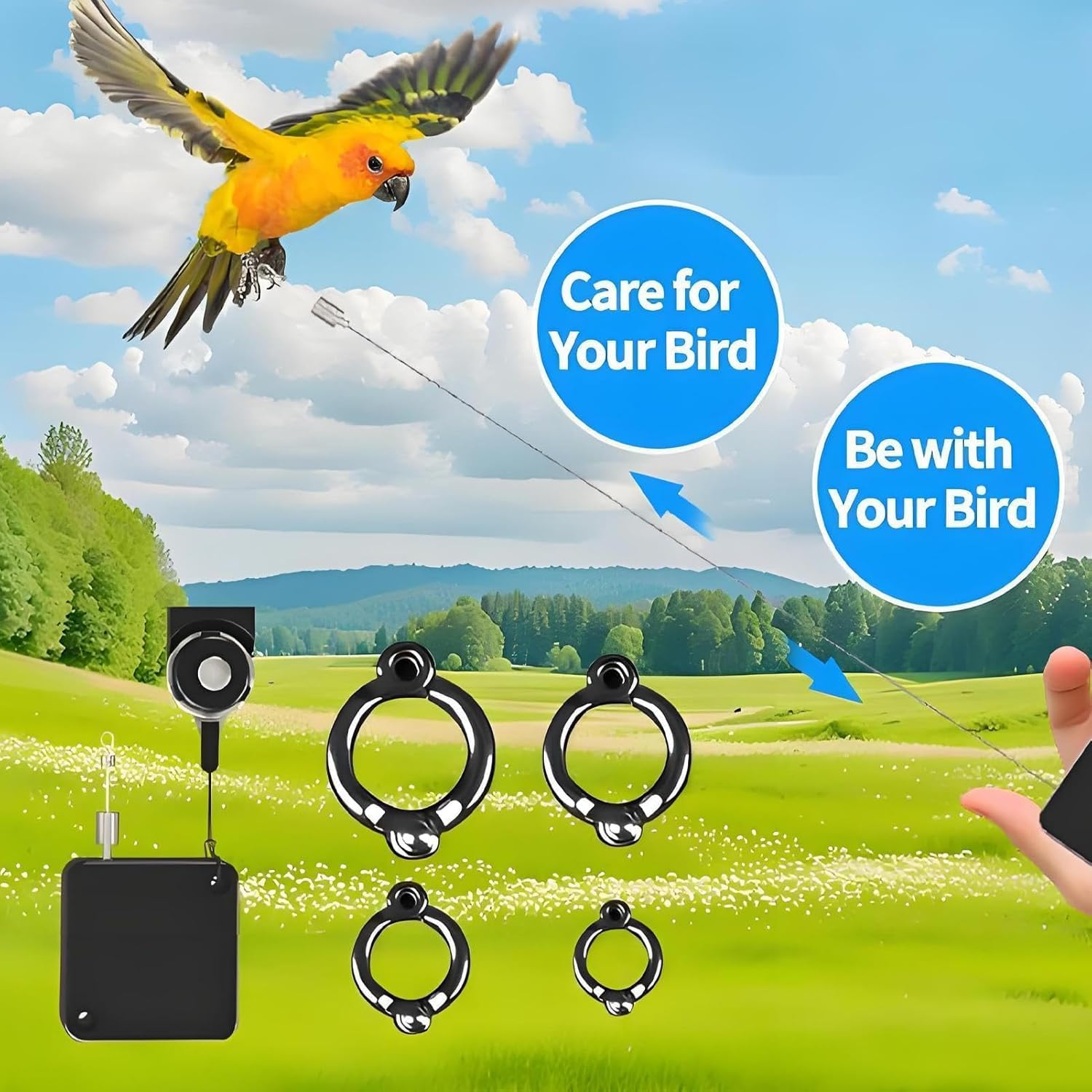 Liahelianx Parrot Foot Rope - Metal Auto-Retractable Parrot Leg Chain for Flying Training | Chewable Bird Ankle Accessories for Conures Lovebird Finches Cockatiels Macaws Parakeet image number 2