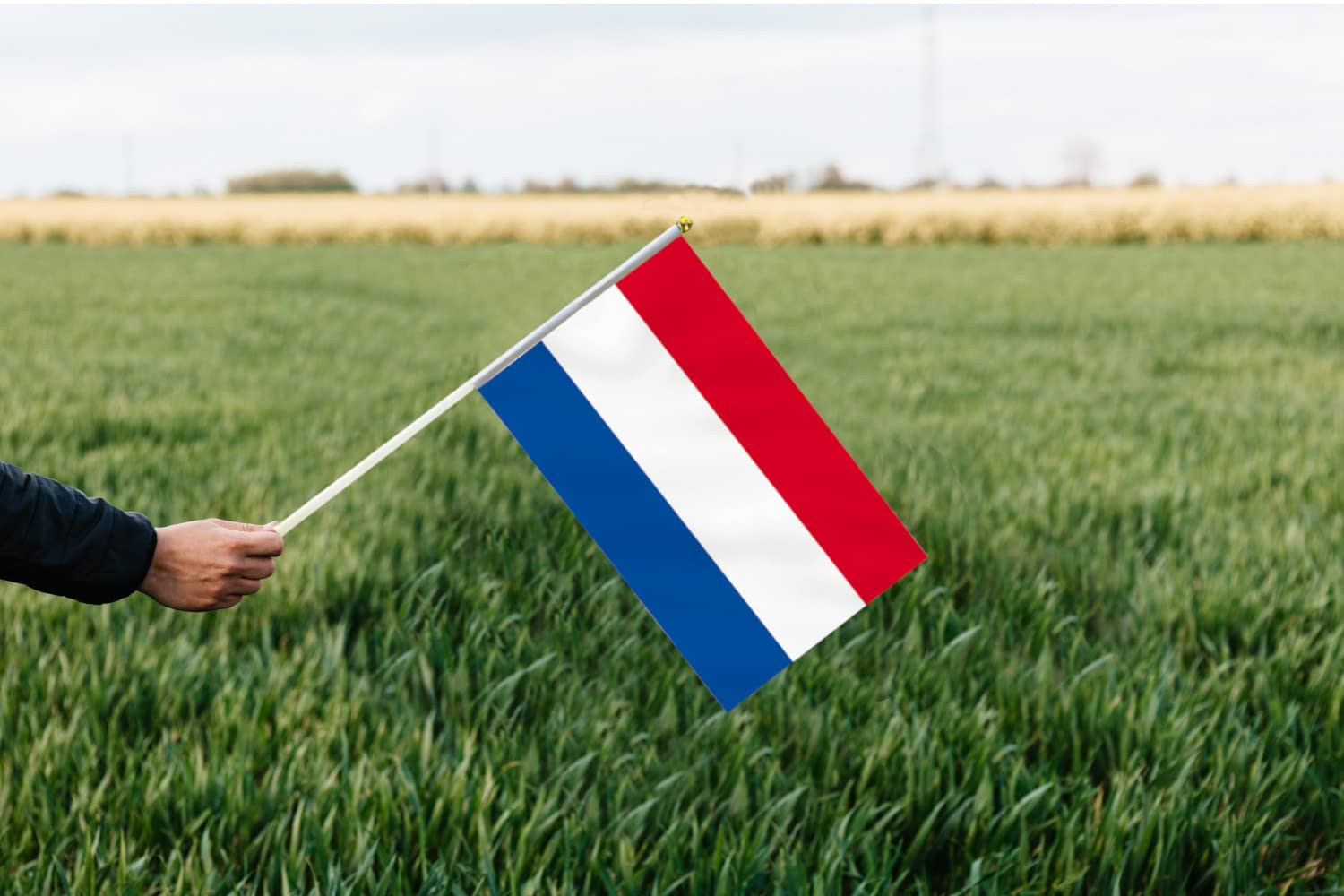 10 PCS Handheld Netherlands Flag,8.5&times;5.5 Inch Hand Held Mini Dutch Flags Banner for Indoor Outdoor Parade Waving the Tlag and Shouting image number 4