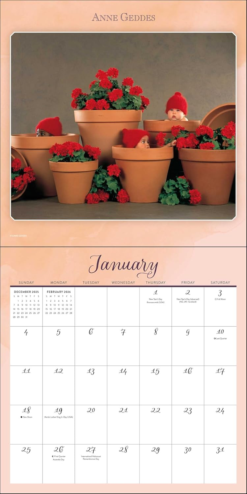Anne Geddes 2026 Wall Calendar: down in the Garden image number 2