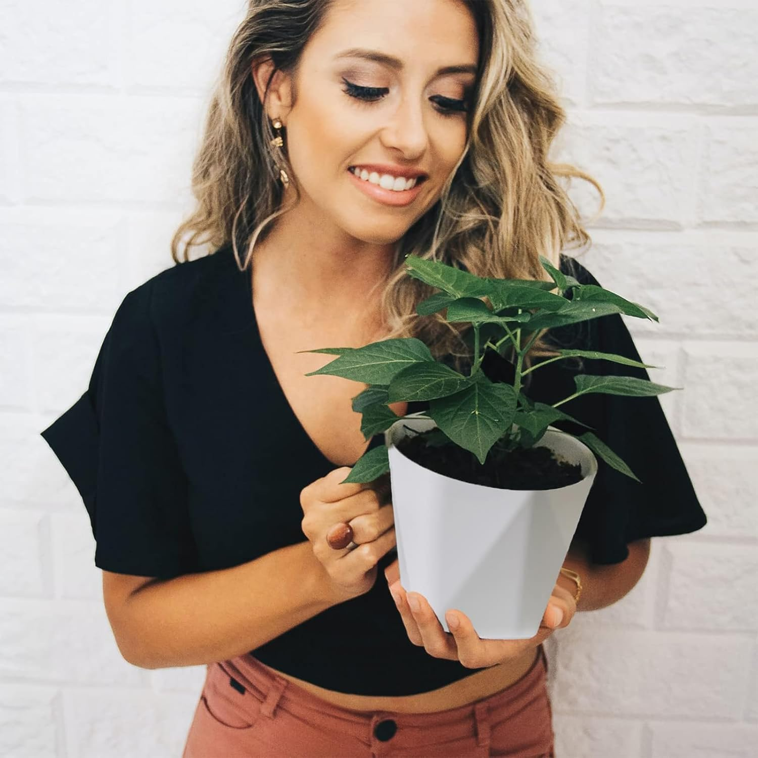 Cozioz Indoor & Outdoor Plant Pots, 12.7 Cm Plastic Flower Pots, Set of 6 with Drainage Holes and Saucers for Garden Use (12.7 Cm - 6 Pcs) image number 2