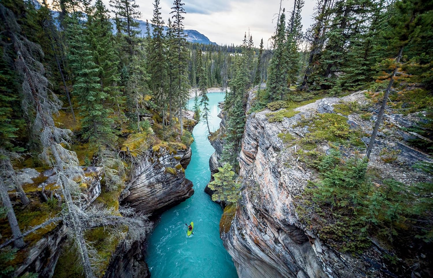 Wayward: Stories and Photographs image number 6