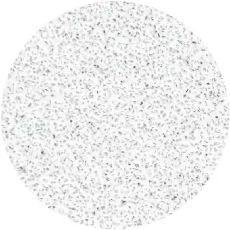 Pododisc Staleks Pro L 80 Grit White Pedicure File Pads Refill Pack of 50 image number 1