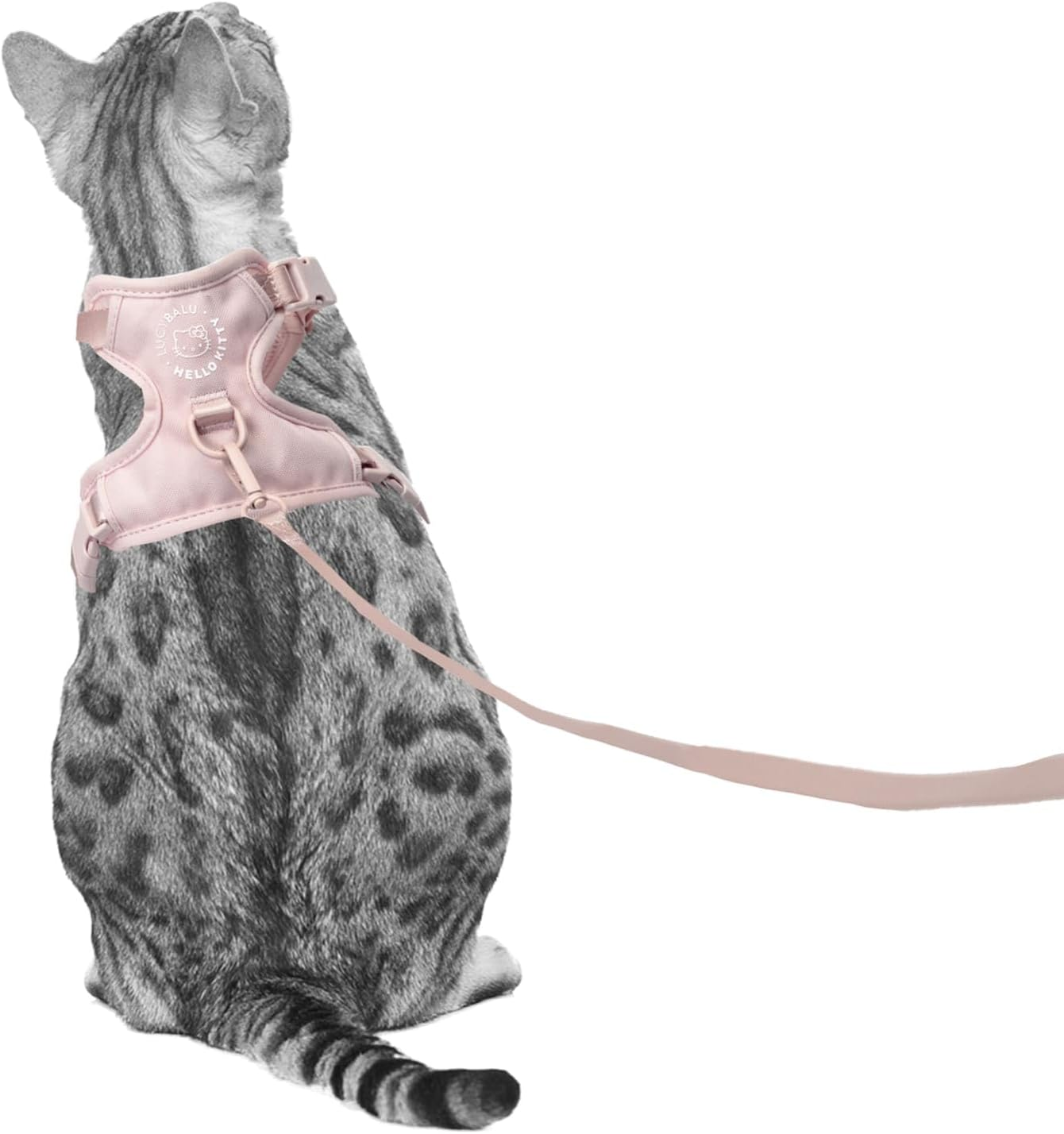 Lucybalu Hello Kitty Explorer Cat Harness with Lead, Escape Proof, Airtag Compartment, Lightweight & Comfortable, M/L, Pink image number 1