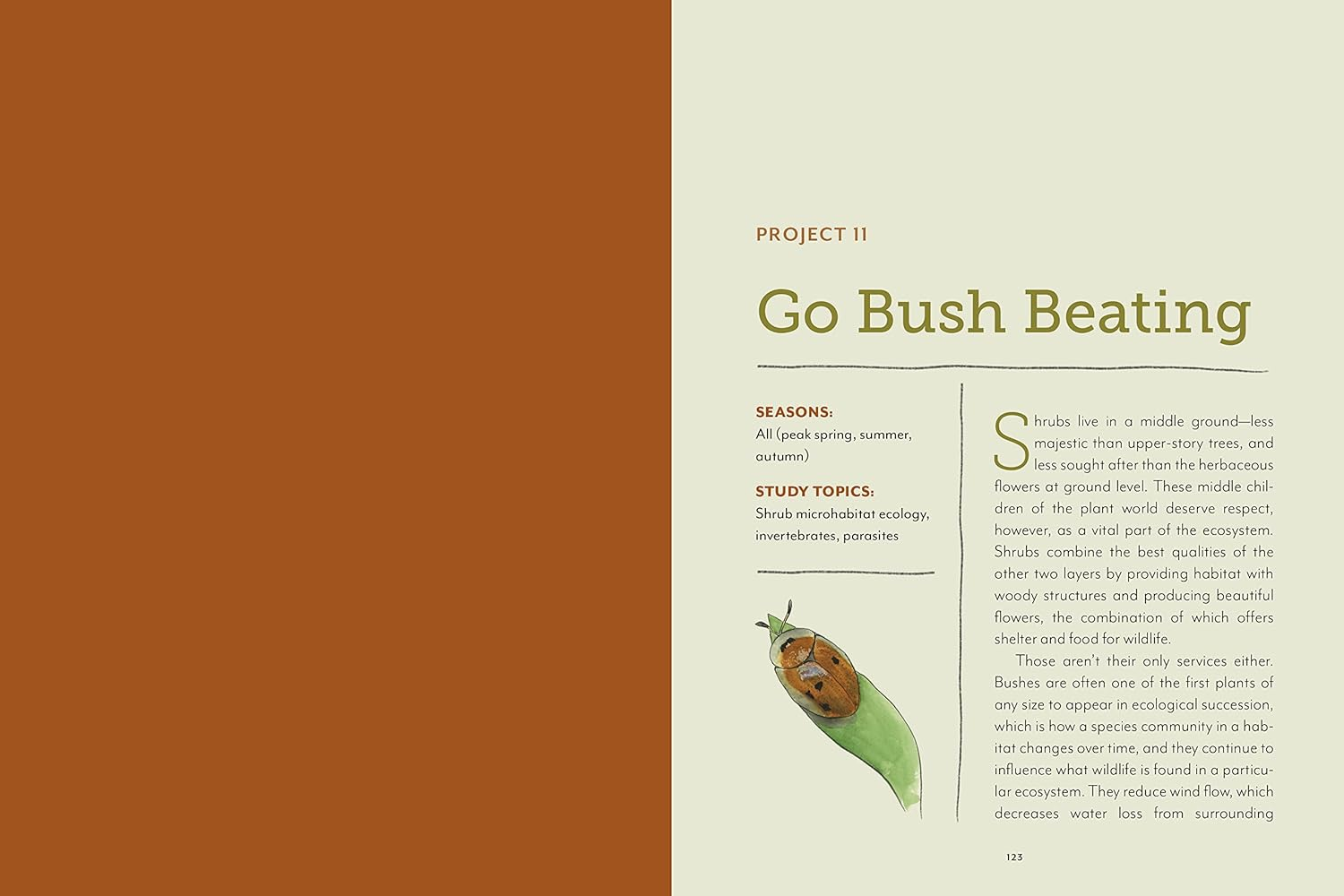 The Naturalist at Home: Projects for Discovering the Hidden World around Us image number 2