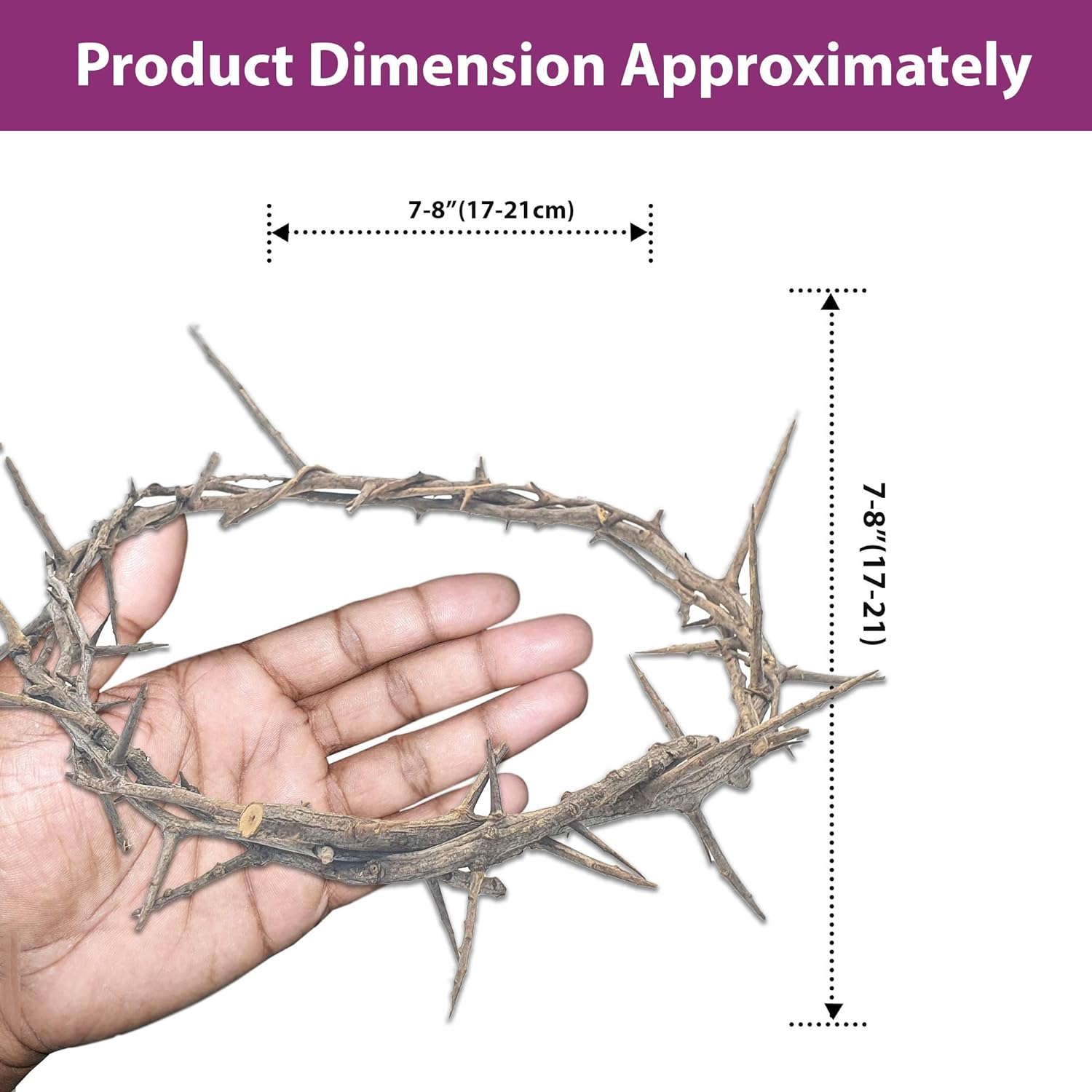 Jerusalem Authentic Biblical Lifesize Real Crown of Thorns with Box & Zuluf Certificate | Religious Easter Wreath Home D&eacute;cor Tree Topper | Jesus Christ Wall Decor Christmas Christian Gifts| HLG214 image number 1