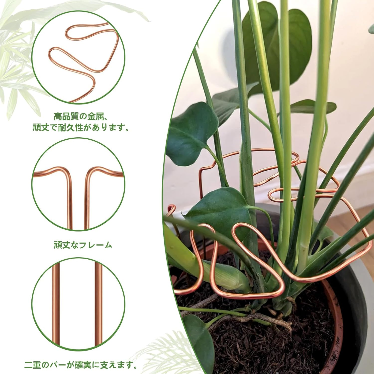 Charming Club Golden 30Cm 1PCS Plant Support for Monstera Potted Bendable Aluminum Wire Assisted Plant Growth Plant Lodging Prevention image number 2