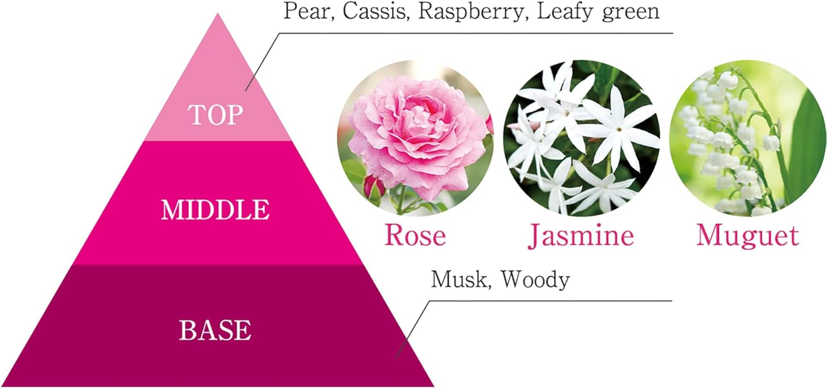 Lion Pet Kirei Scented Foam Rinse-In Shampoo for Dogs and Cats, Refill, Pack of 2, Refill X 2, Bulk Purchase