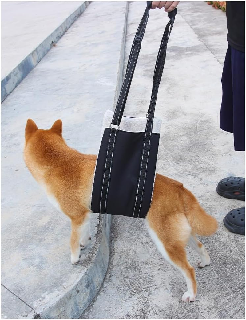 Dog Sling for Large Dogs Hind Leg Support- Dog Lift Harness with Handle for Lifting Back Legs,Portable Dog Sling Carrier (Black, L) image number 5