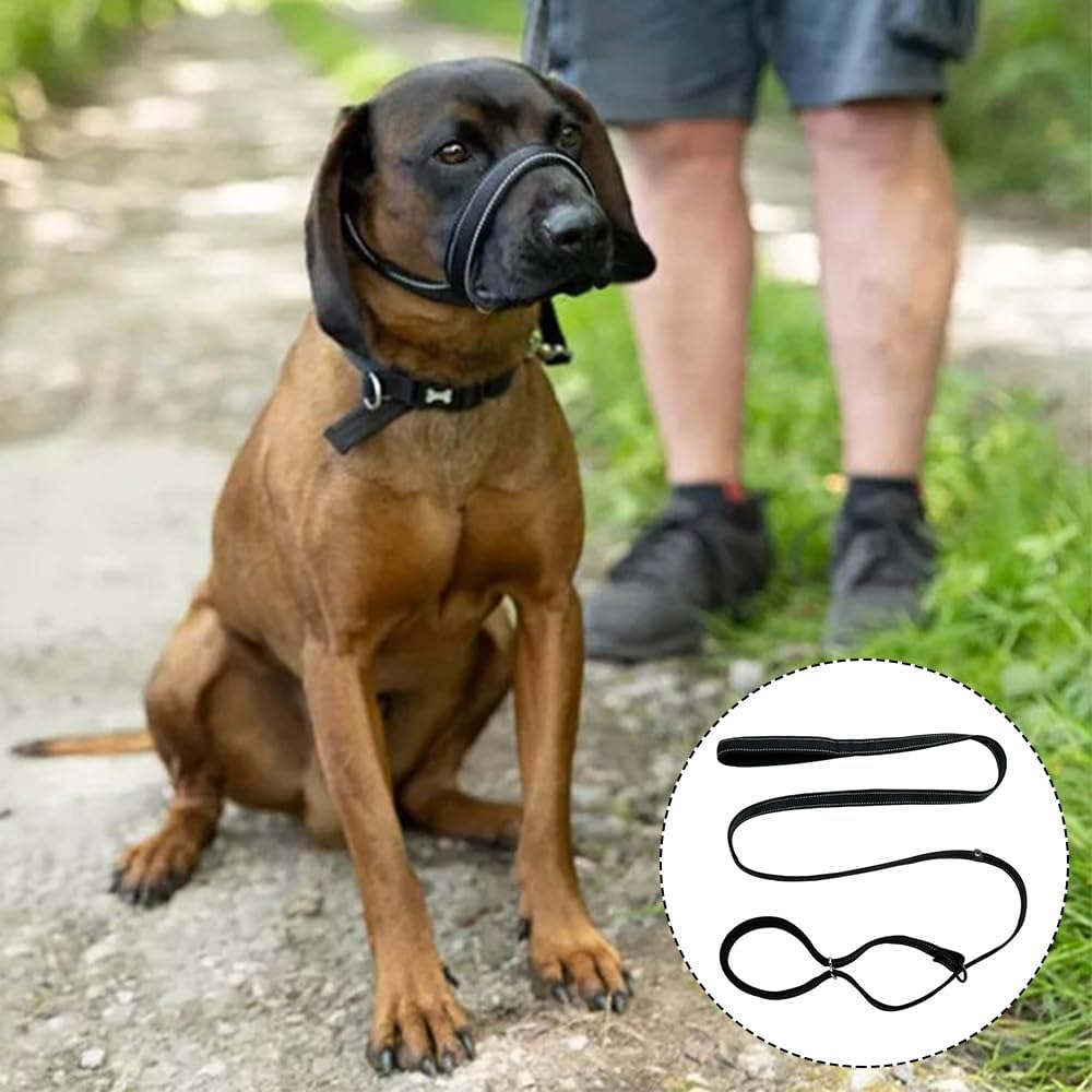 Sarini Dog Lead in the Shape of 8, Adjustable, 1.8 M, with Soft Grip and Padding, Anti-Pull Dog Lead, Suitable for Training Small, Medium and Large Dogs, Bissimitation Dog Lead image number 1