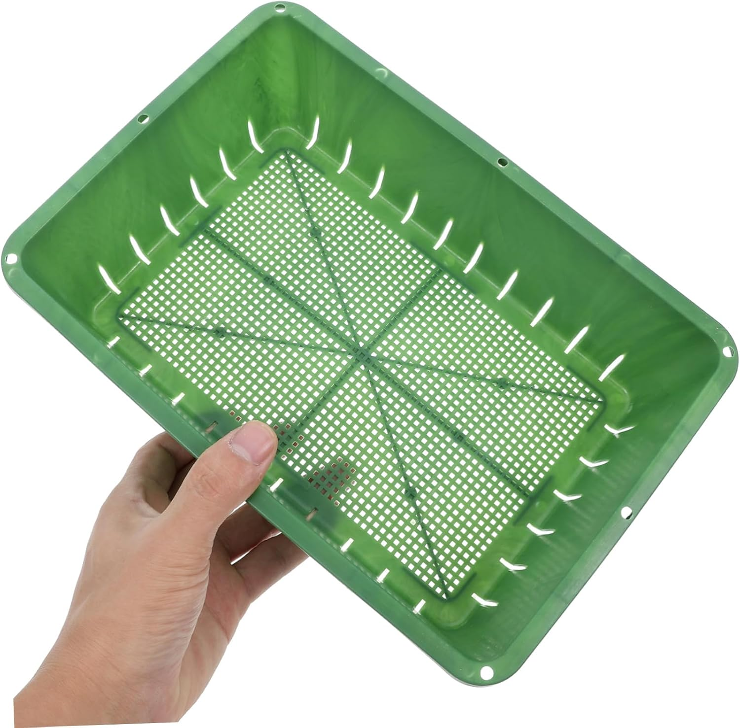 PAMINGONO Seedling Tray Plant Starter Propagation Tray for Gardening Indoor and Outdoor Use Small Green Plastic 26X18X7Cm 2Pcs Germination and Growing Container for Succulents and Seedlings image number 5