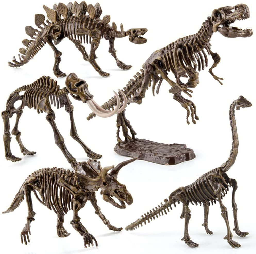 Dinosaur Fossil Digging Kit for Kids and Adult, STEM Science Dinosaur Fossil Dig Kit for Paleontology and Archeology Enthusiasts, Realistic Dig up Dinosaurs Skeleton Set Educational Toys