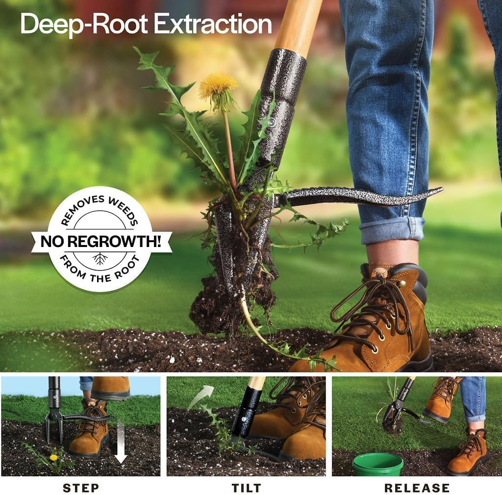 APEXORIGIN Weed Puller Tool, 1.1M Stand up Heavy Duty Weed Remover Tool with Long Handle, Foot Platform Design - 4 Claw Steel Head Weeder Tool, Bamboo Garden Hand Weeding Tool (Black) image number 3