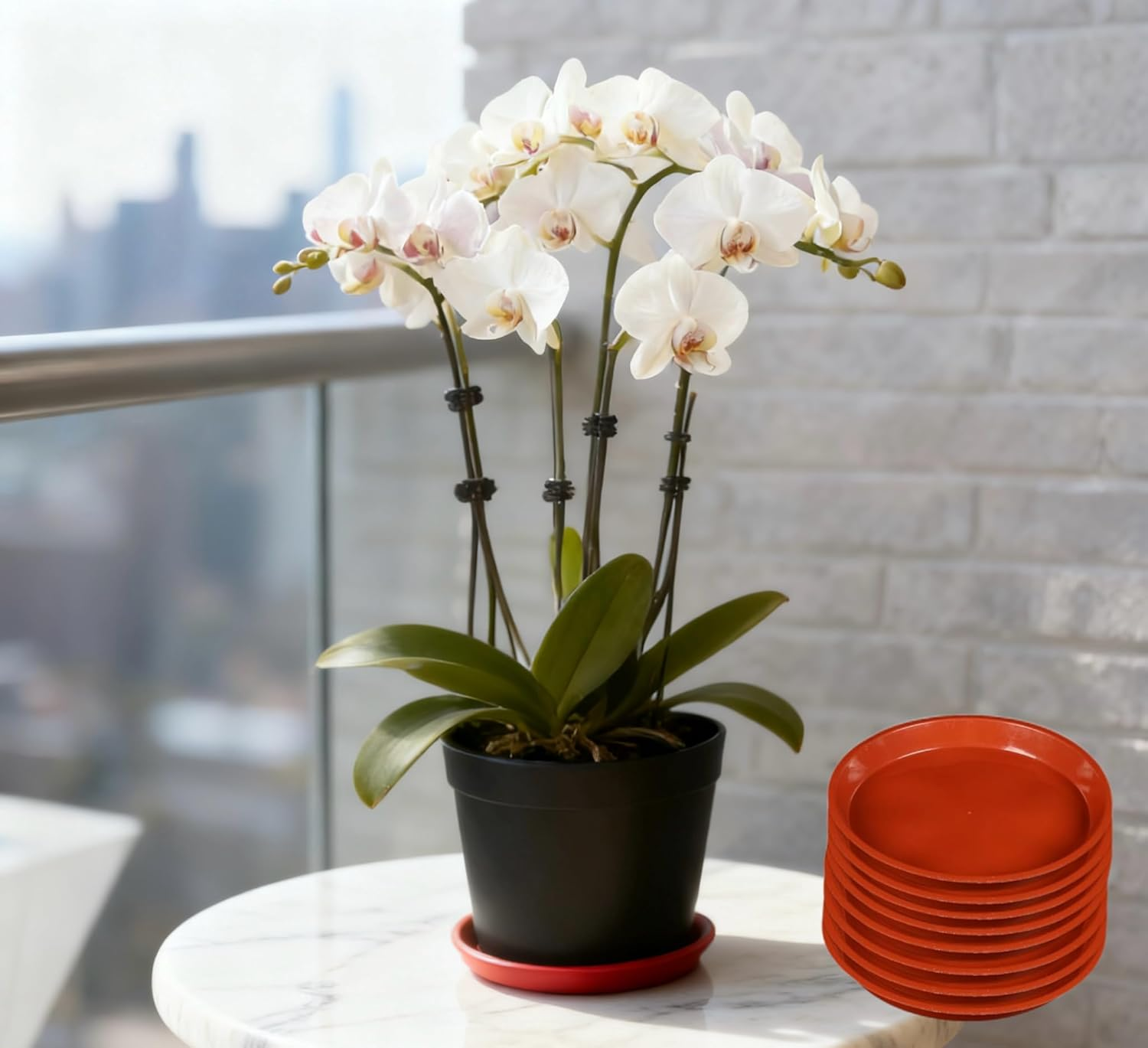 8 Pack 24Cm Plastic Plant Saucer, Flower Plant Pot Drip Tray, round Planter Saucer for Indoor and Outdoor, Brown image number 3