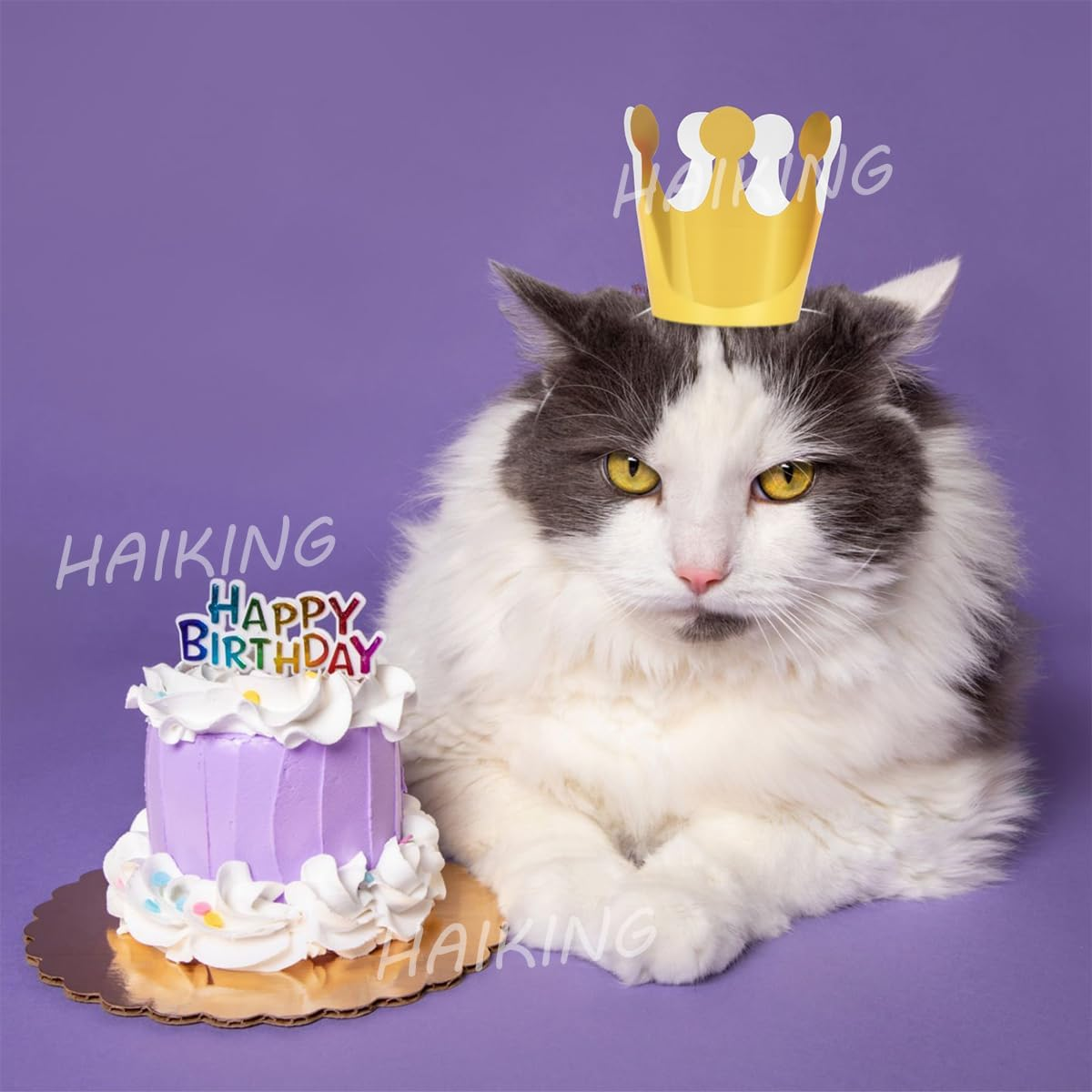 HAIKING Paper Crown Hats, 20 PCS Golden & Silver Birthday Hats for School, Anniversary, Party Supplies (Elastic) image number 5