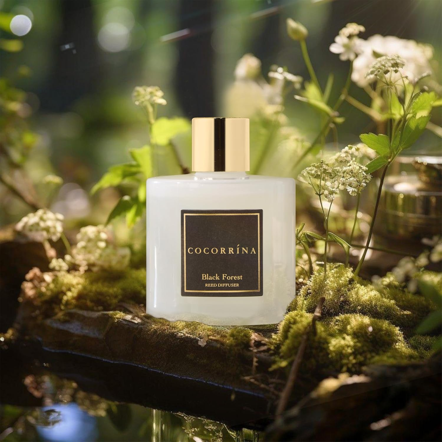 Cocorr&iacute;na Reed Diffuser Sets, 6.7 Oz Black Forest Diffuser with Sticks Home Fragrance Reed Diffuser for Bathroom Shelf Decor