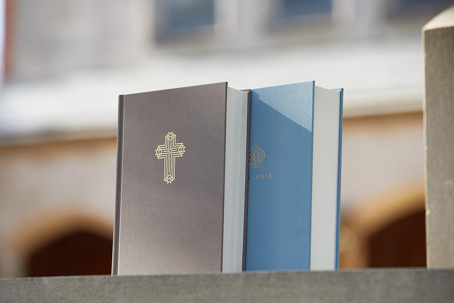 NRSV Catholic Bible Journal Edition [Blue]: Holy Bible image number 3