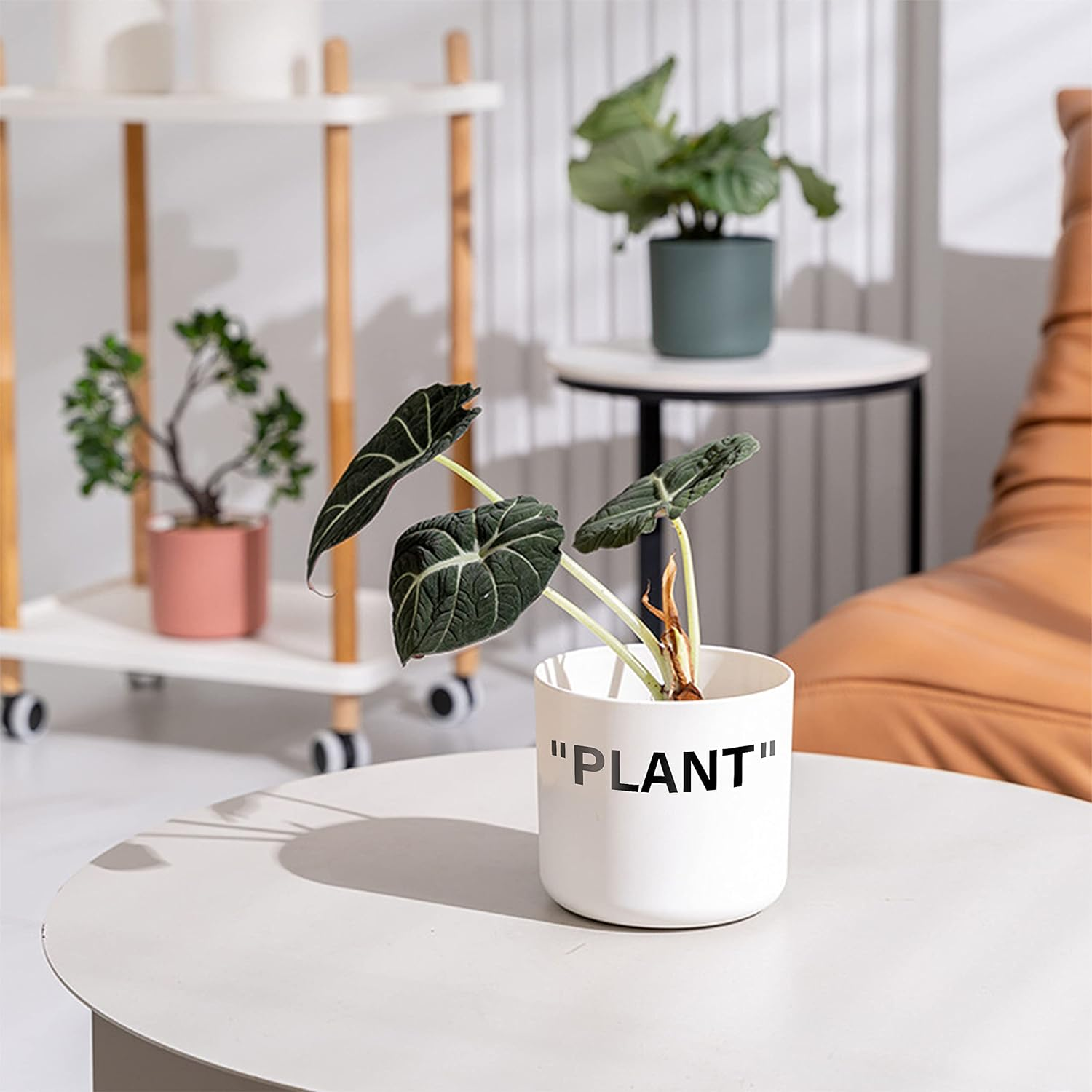 Twodays Off-White Inspired Sneaker Planter, Hypebeast Room Decor, Small 5 Inch Cylinder White Plastic Indoor Plant Pot with Built in Drainage Hole, Mini Flower Pot, Sneakerhead Gift. image number 4