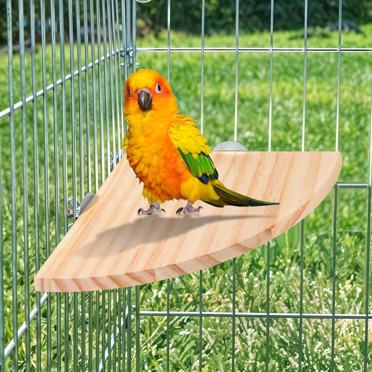 Ksngtixe 1PC Bird Perch Platform, Fan-Shaped Corner Shelf for Parrots - Durable Chew-Resistant Stand for Budgies/Cockatiels/Conures/Macaws/African Greys - Easy Mounting Bird Cage Accessory image number 5