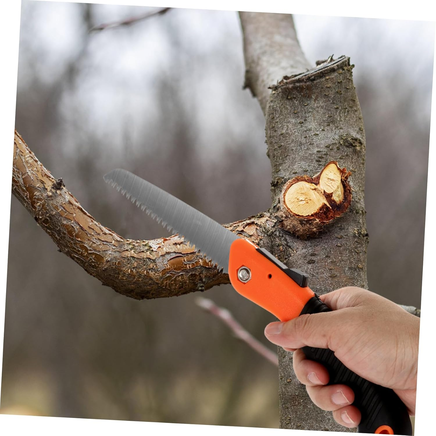 Yardwe Household Hand Saw for Pruning Foldable Saw Hard Teeth for Dry Wood for Camping and Gardening
