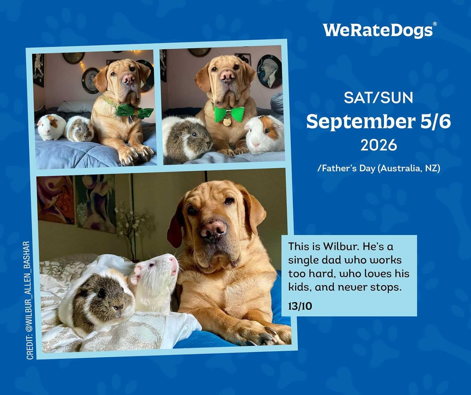 Weratedogs 2026 Day-To-Day Calendar image number 1
