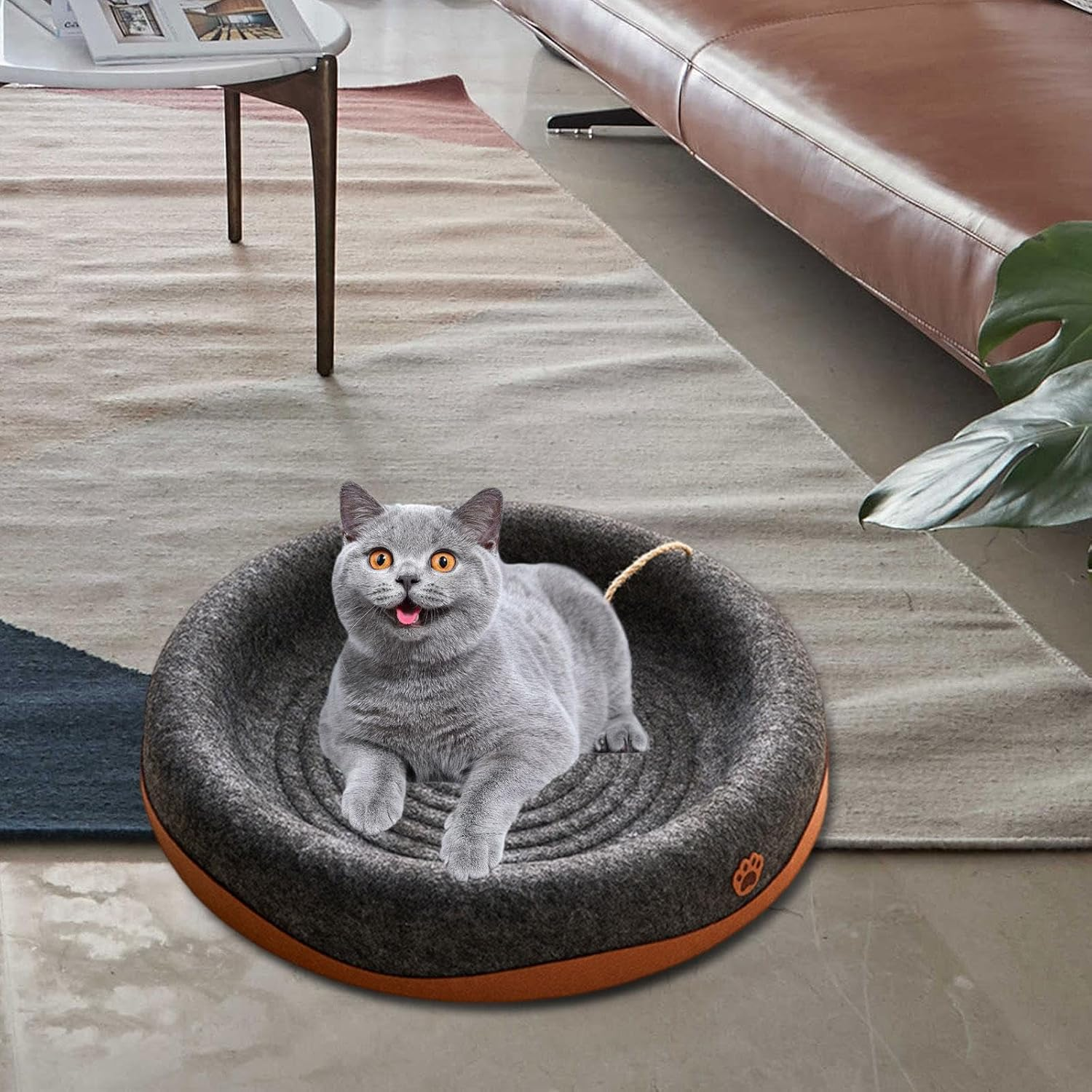 ＡＷＨＡＯ Indoor Cat Scratcher Bed with Dangling Ball, Breathable and Space Efficient, Black Round image number 1