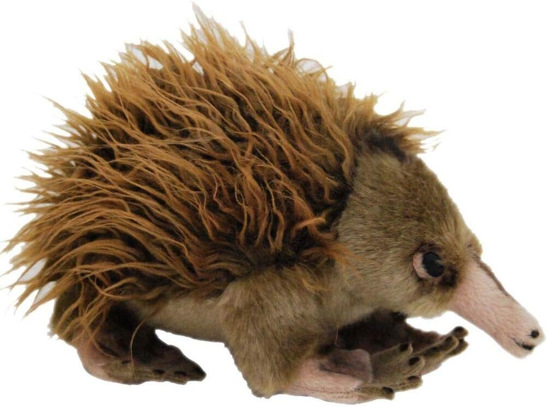 Elka Australia 1632-26 Ganyi Echidna Soft Plush Toy, 22 Centimeters