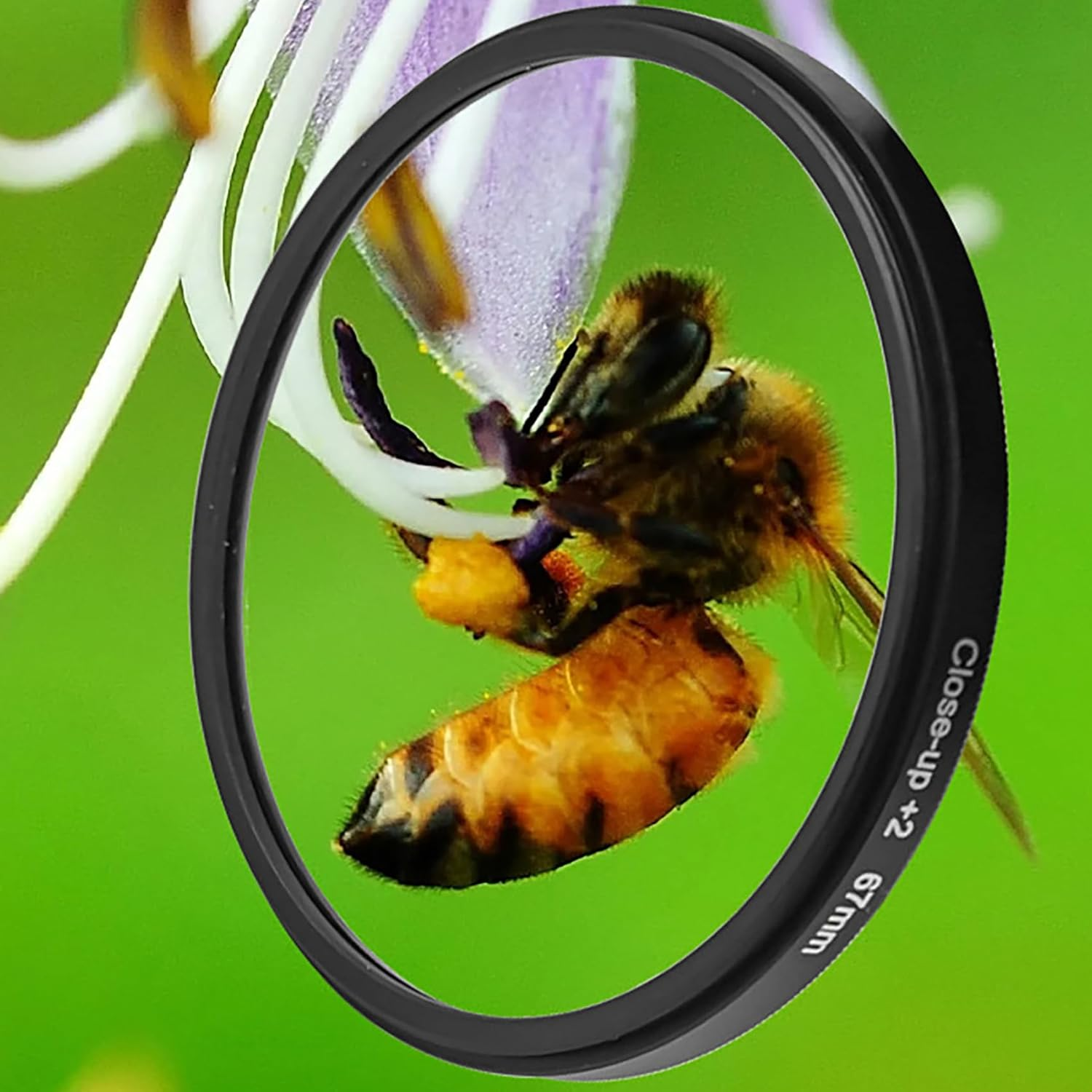 Tunghey Close-Up Filter Kit 5 Pieces(+1,+2,+4,+8,+10) Macro Filter Accessory Close-Up Lens Filter Kit Set for DSLR Camera (82Mm)